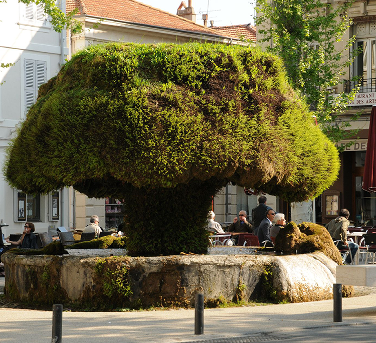 Salon-de-Provence